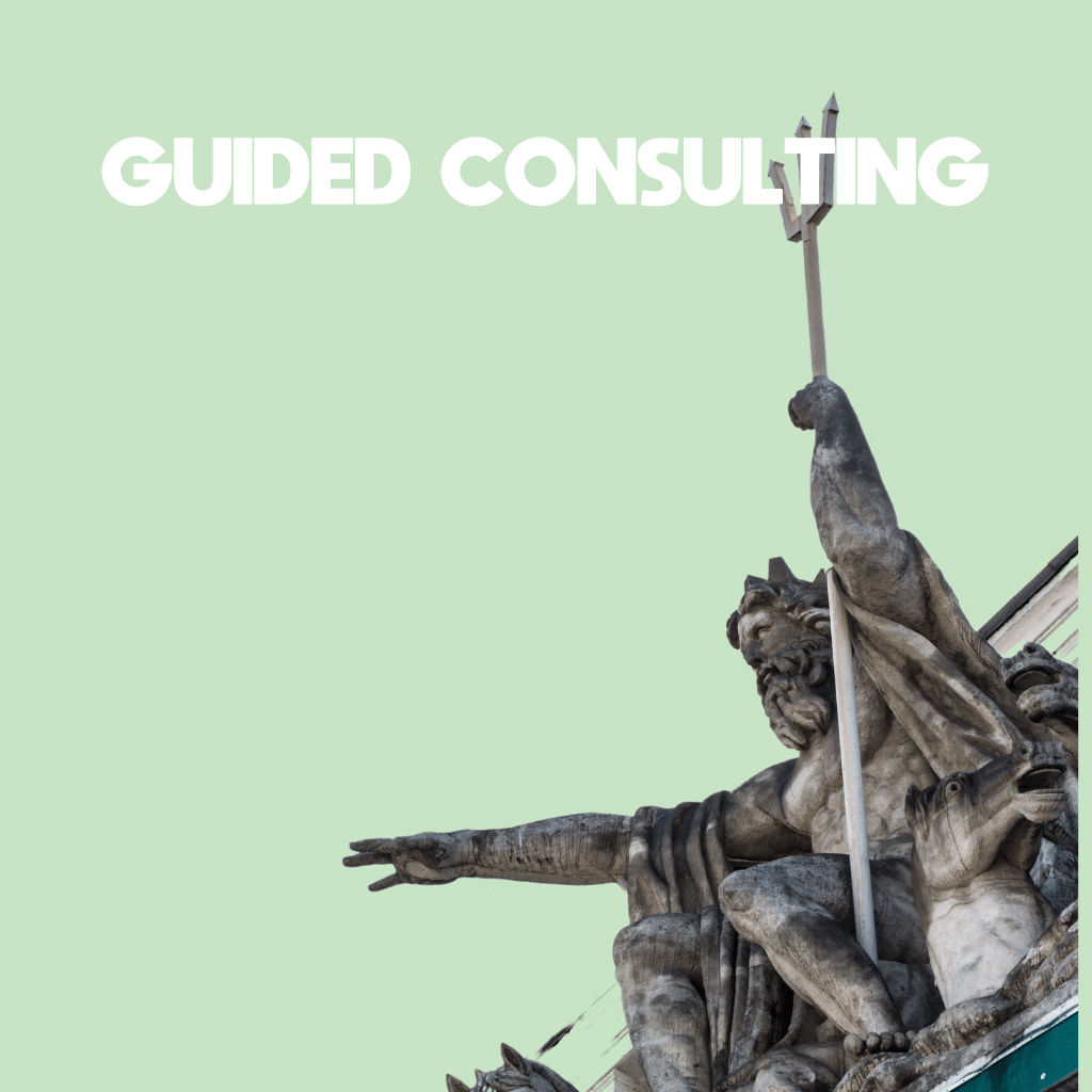 Guided Consulting
